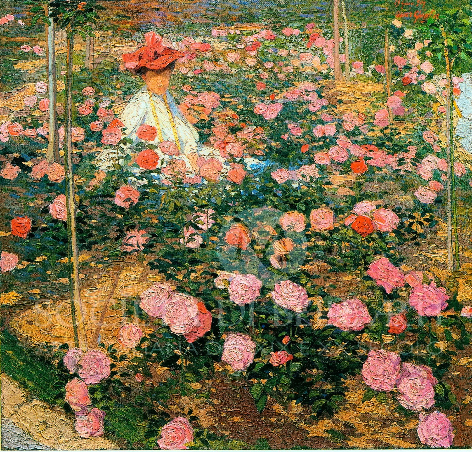 La signora Ojetti nel roseto